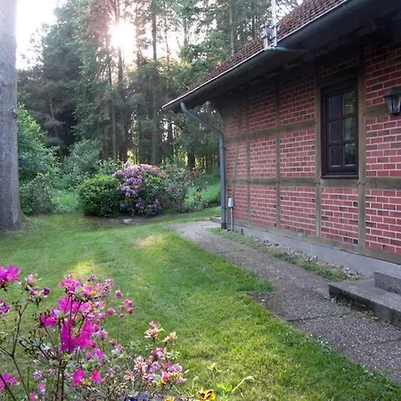 Ferienhaus Becker Bispingen Exterior foto